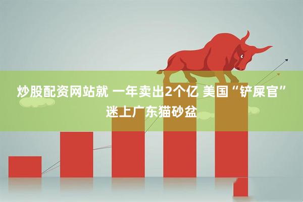 炒股配资网站就 一年卖出2个亿 美国“铲屎官”迷上广东猫砂盆