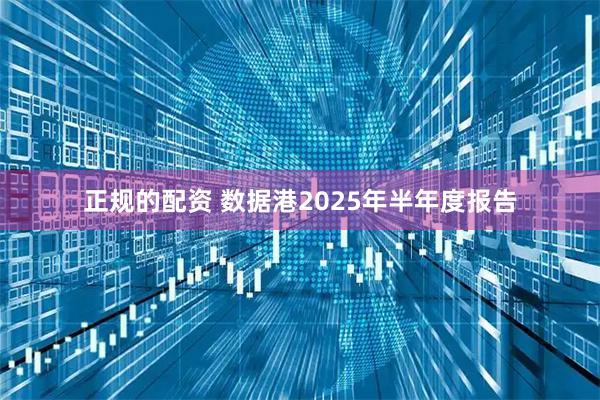 正规的配资 数据港2025年半年度报告